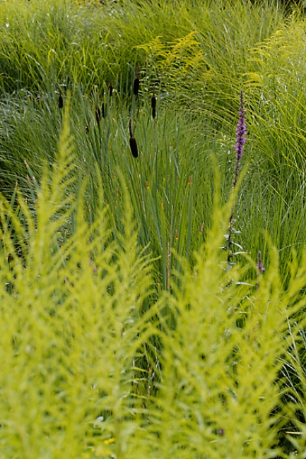 Jardin des Impressionnistes-109